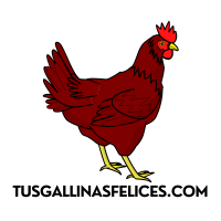 Soluciones para Gallinas