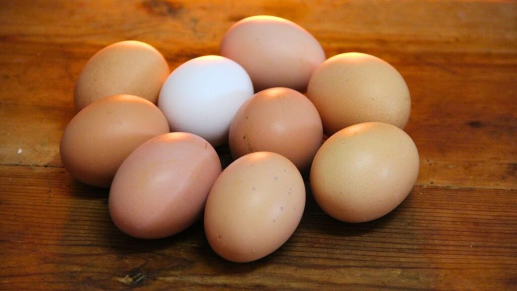 cómo aumentar la puesta de huevos con la alimentación